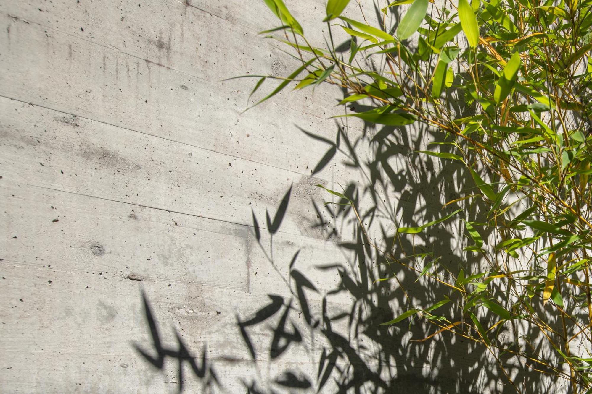 Villa Con Piscina Y Jardin, Santiago De Compostela Teo Ngoại thất bức ảnh
